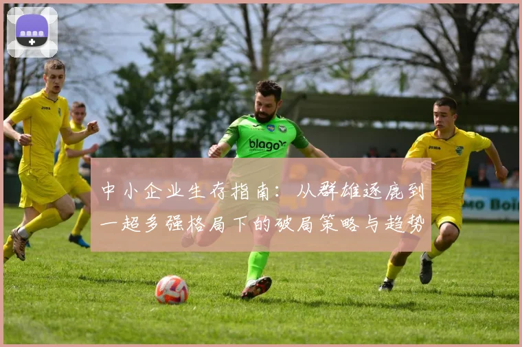 中小企业生存指南：从群雄逐鹿到一超多强格局下的破局策略与趋势展望