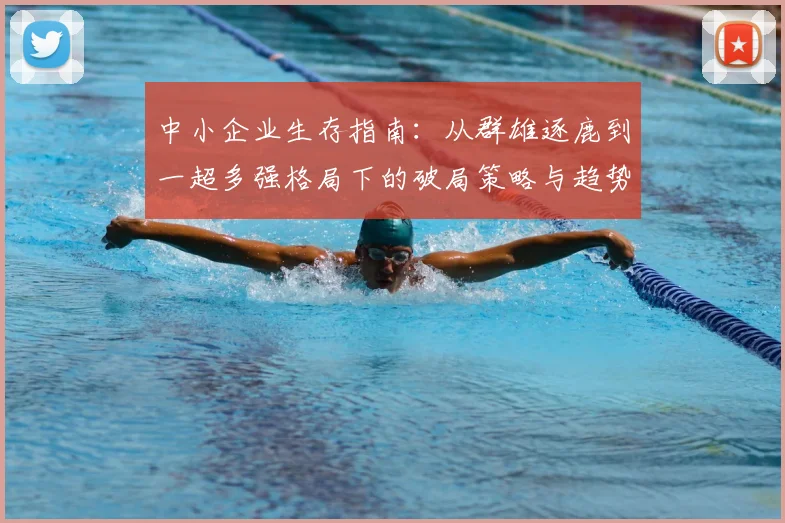 中小企业生存指南:从群雄逐鹿到一超多强格局下的破局策略与趋势展望