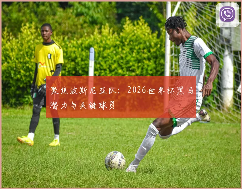 聚焦波斯尼亚队：2026世界杯黑马潜力与关键球员