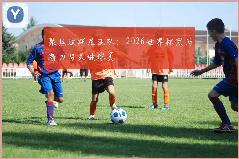聚焦波斯尼亚队：2026世界杯黑马潜力与关键球员